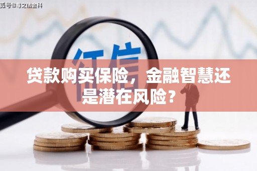 小金贷款购买保险，金融智慧还是潜在风险？