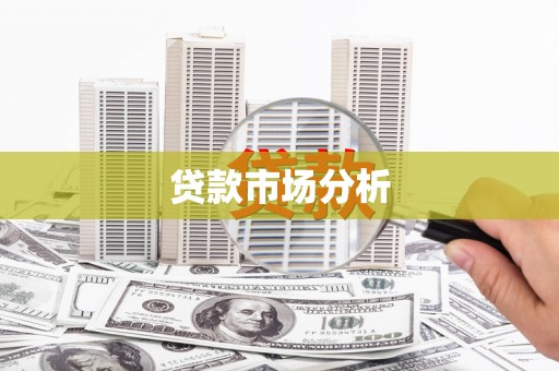玉树贷款市场分析