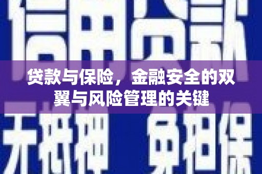 塔什库尔干塔吉克贷款与保险，金融安全的双翼与风险管理的关键