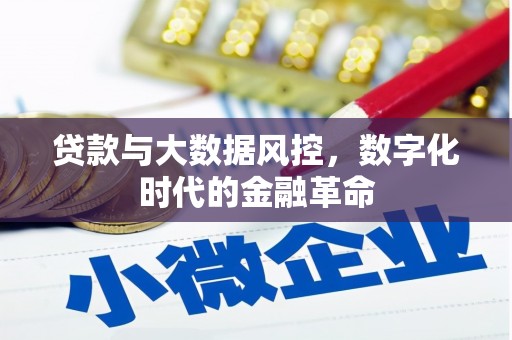 山上贷款与大数据风控，数字化时代的金融革命