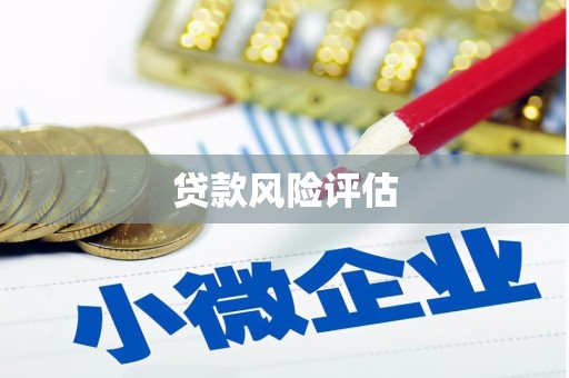 将军贷款风险评估