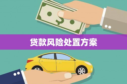 根河贷款风险处置方案