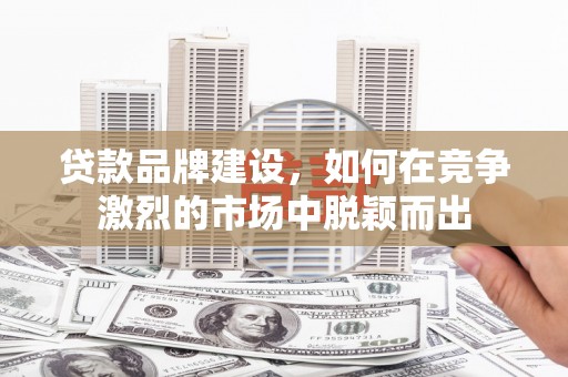 万丹贷款品牌建设，如何在竞争激烈的市场中脱颖而出