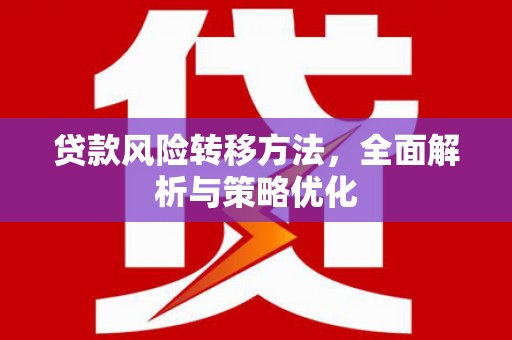 聂荣贷款风险转移方法，全面解析与策略优化