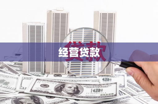 天元经营贷款