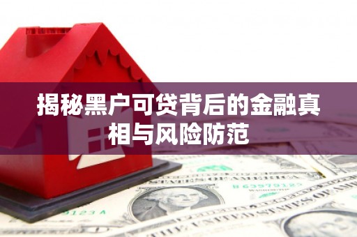 八德揭秘黑户可贷背后的金融真相与风险防范