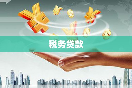 横县税务贷款