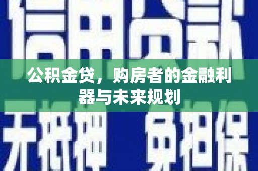 沙湾公积金贷，购房者的金融利器与未来规划