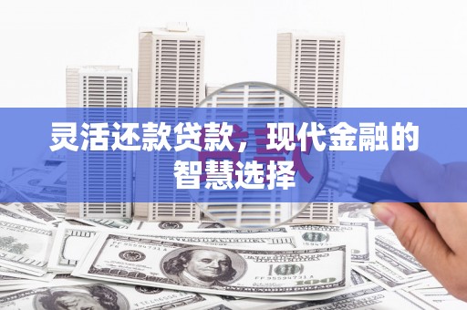 南乐灵活还款贷款，现代金融的智慧选择