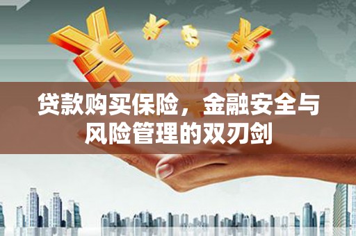 昌乐贷款购买保险，金融安全与风险管理的双刃剑