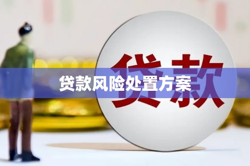 湘东贷款风险处置方案