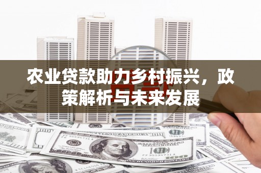 泗阳农业贷款助力乡村振兴，政策解析与未来发展