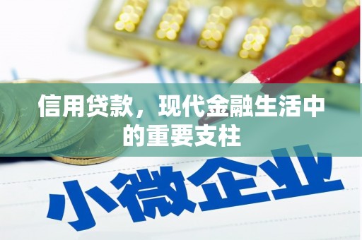 肥乡信用贷款，现代金融生活中的重要支柱