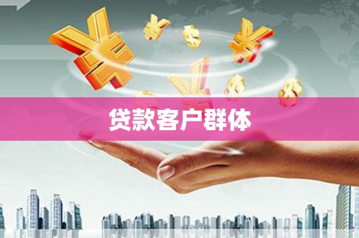 师宗贷款客户群体