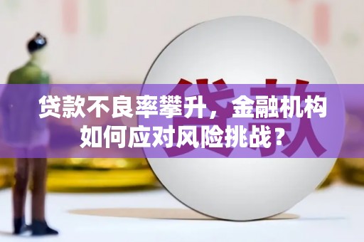 张北贷款不良率攀升，金融机构如何应对风险挑战？