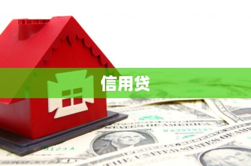 沙湾信用贷