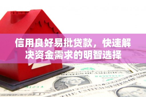 渭城信用良好易批贷款，快速解决资金需求的明智选择