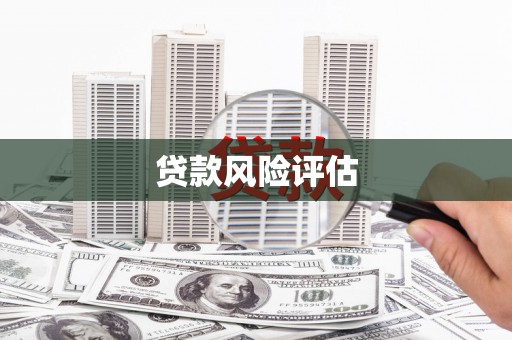 禹城贷款风险评估