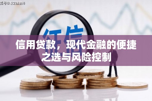 临邑信用贷款，现代金融的便捷之选与风险控制