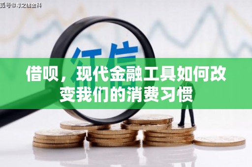 夏邑借呗，现代金融工具如何改变我们的消费习惯