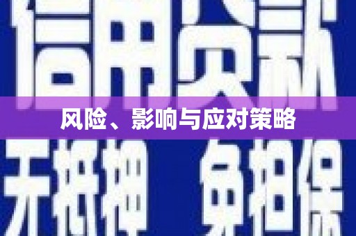 南充风险、影响与应对策略