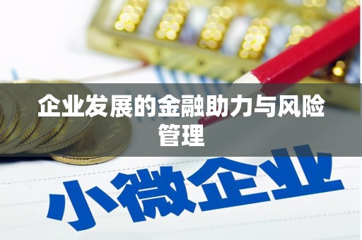 将军企业发展的金融助力与风险管理