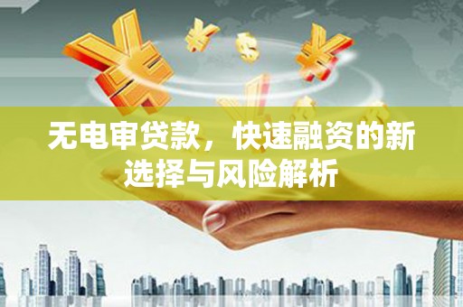 新园无电审贷款，快速融资的新选择与风险解析