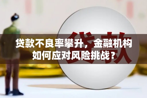 南化贷款不良率攀升，金融机构如何应对风险挑战？