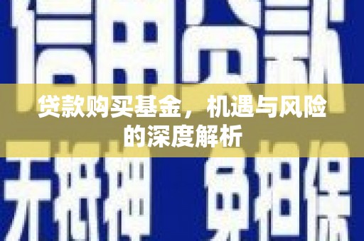禄丰贷款购买基金，机遇与风险的深度解析