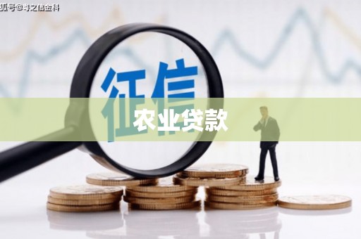 狮潭农业贷款