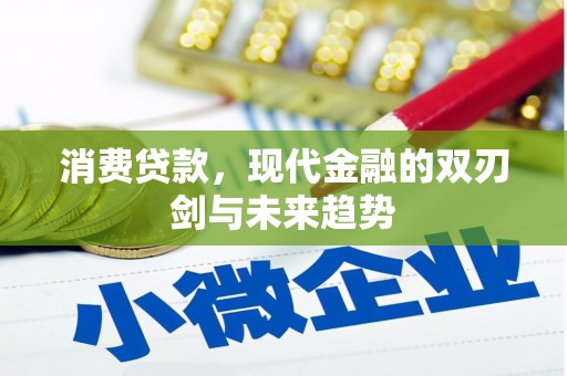 新郑消费贷款，现代金融的双刃剑与未来趋势