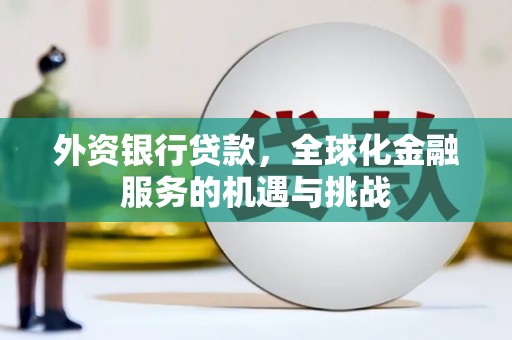 上甘岭外资银行贷款，全球化金融服务的机遇与挑战