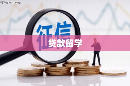 望城贷款留学