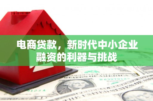 阳东电商贷款，新时代中小企业融资的利器与挑战