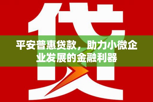 伊宁平安普惠贷款，助力小微企业发展的金融利器