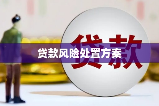 富平贷款风险处置方案