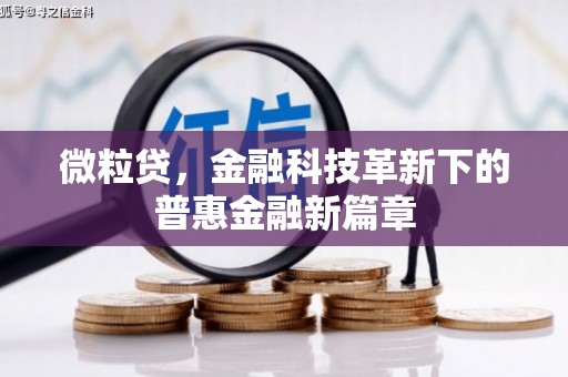 蔡甸微粒贷，金融科技革新下的普惠金融新篇章