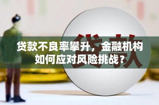 呼兰贷款不良率攀升，金融机构如何应对风险挑战？