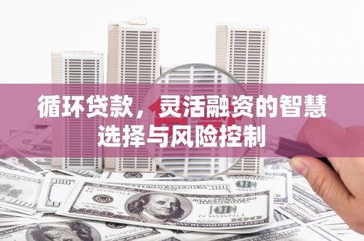 杂多循环贷款，灵活融资的智慧选择与风险控制