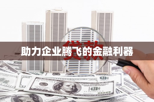 大里助力企业腾飞的金融利器