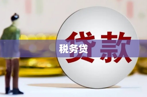 灌云税务贷