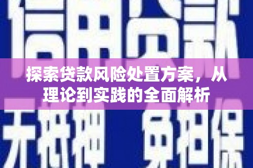 土库探索贷款风险处置方案，从理论到实践的全面解析