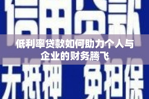 盐水低利率贷款如何助力个人与企业的财务腾飞