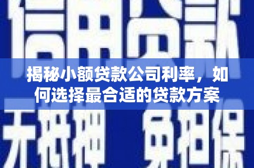 哈尔滨揭秘小额贷款公司利率，如何选择最合适的贷款方案