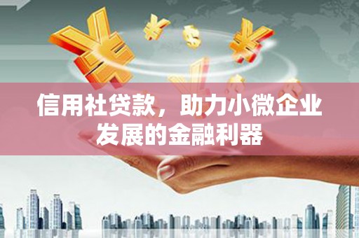 双台子信用社贷款，助力小微企业发展的金融利器