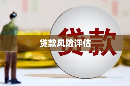 郧阳贷款风险评估