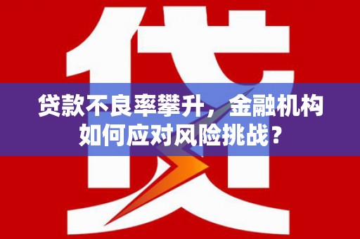 拜城贷款不良率攀升，金融机构如何应对风险挑战？