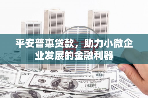 甘谷平安普惠贷款，助力小微企业发展的金融利器