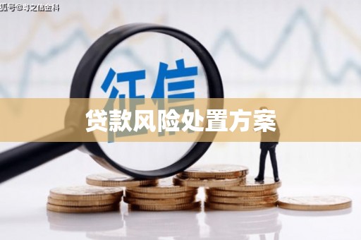 高埗贷款风险处置方案