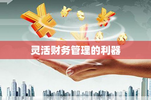 临猗灵活财务管理的利器